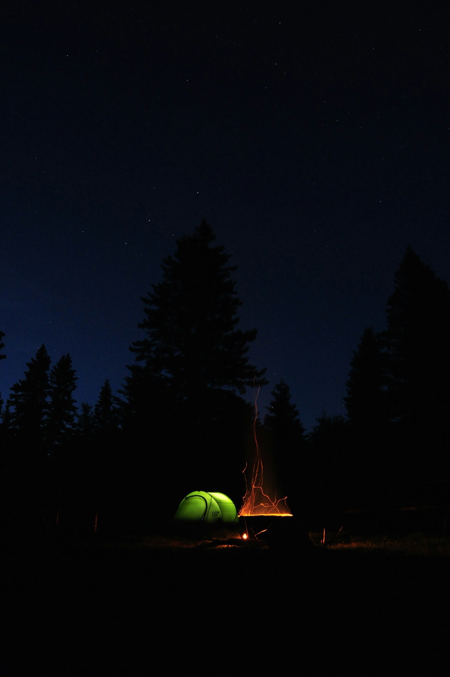 Finding Solitude In The Deep Forest